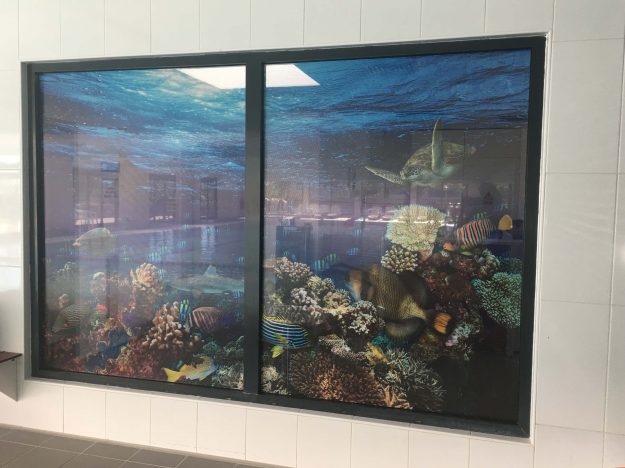 Réalisation et pose d'un adhésif micro-perforé dans une PISCINE