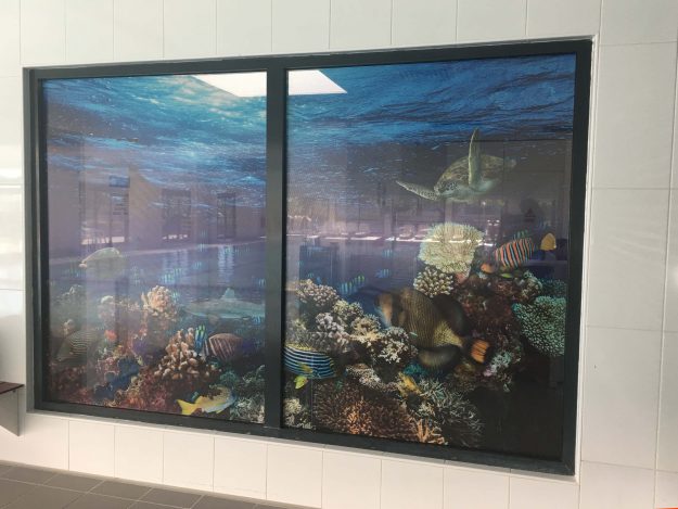 Réalisation et pose d'un adhésif micro-perforé dans une PISCINE